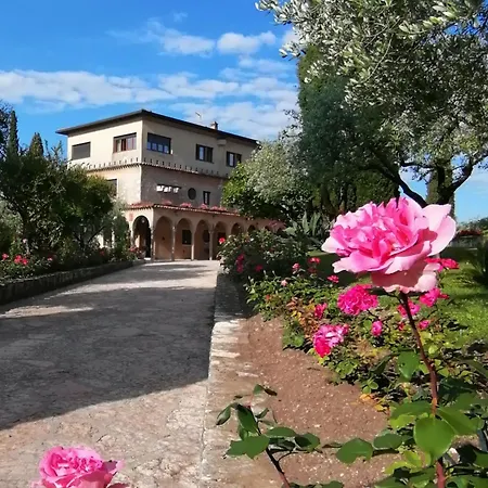 Hotel Paradiso *