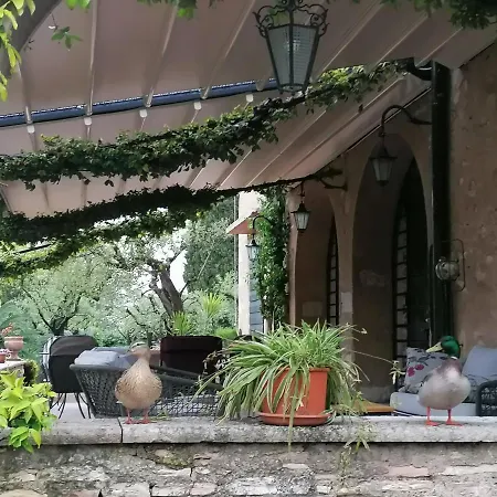 Paradiso *