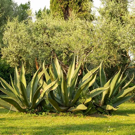 فندق Paradiso سيرمِيوني
