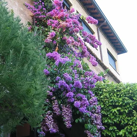 Hotel Paradiso Sirmione